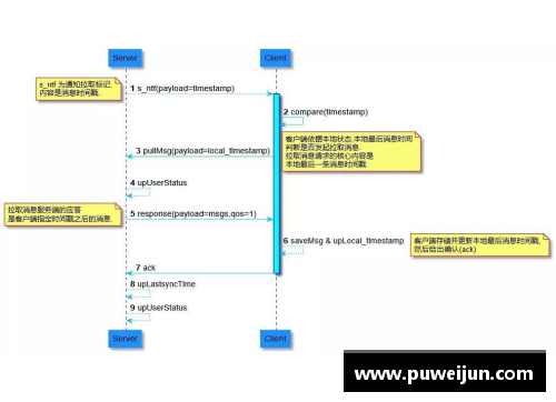 CS2：从基础到技术实践的全面解读