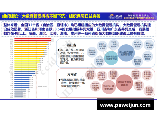 如何评估体育明星比赛成绩：深入分析与终极评判标准