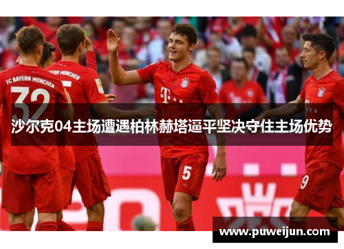 沙尔克04主场遭遇柏林赫塔逼平坚决守住主场优势